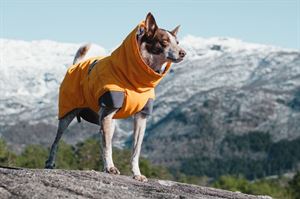 Hurtta Expedition Parka (photo courtesy of Hurtta)