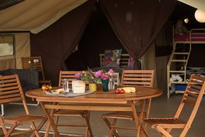 Ready Camp tent inside Ready Camp tent inside