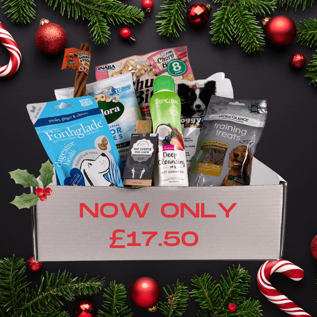 Your Dog Christmas Gift Box