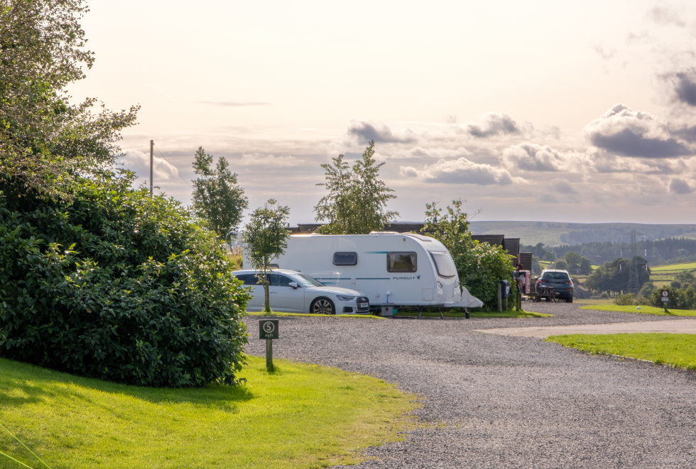 Herding Hill Farm Camping