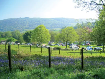burrowhayes-campsite-image-4