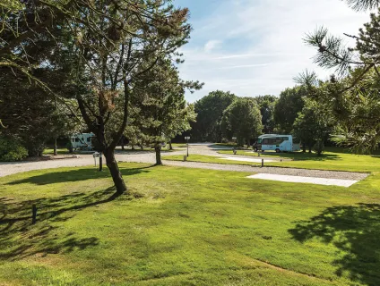 carvynick-campsite-image-2
