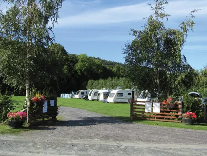 cefn-cae-campsite-image