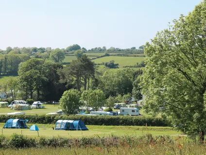 dolbryn-campsite-image