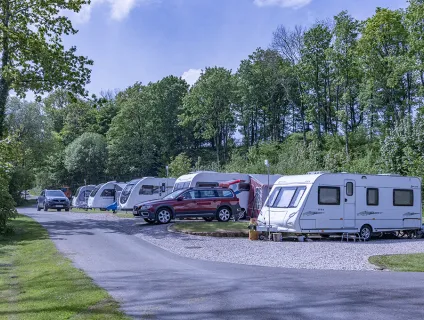 old-hall-campsite-image-4