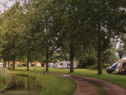 reedham-ferry-campsite-image