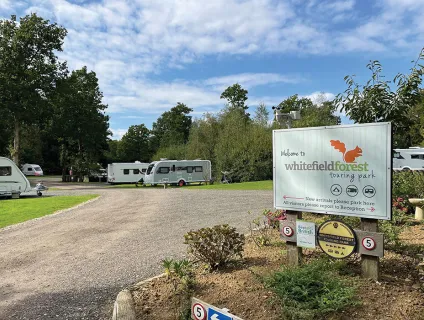 whitefield-forest-campsite-image-1