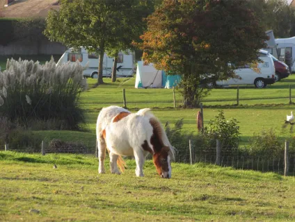fairfields-farm 3