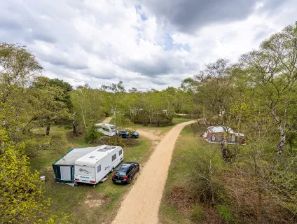 Matley Wood