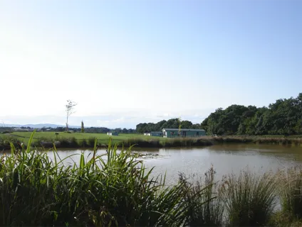 manor-wood-campsite-image-7