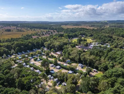 wareham-forest-campsite-image-11