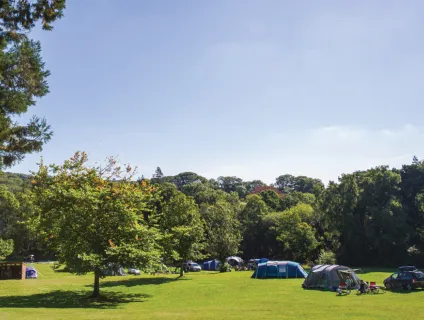 River Dart Country Park