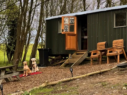 North Norfolk Camping & Glamping