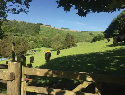 Westermill Farm