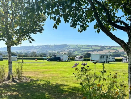 Daisy Bank