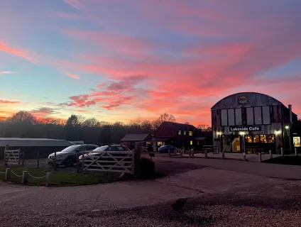 Wylands Farm