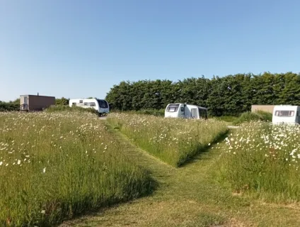 Hallsdown Farm