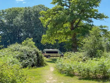 Hollands Wood