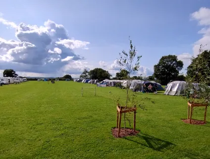 Oakwood Campsite