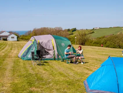Widemouth Fields