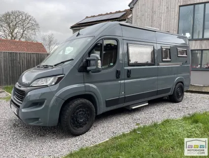 Murvi Pimento XL 2022