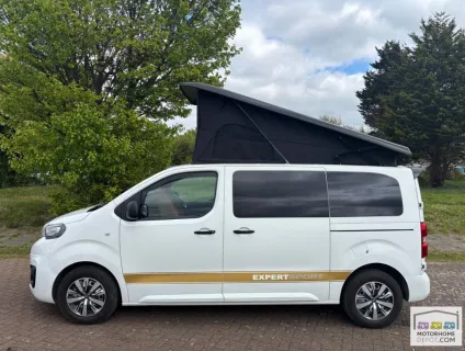 Peugeot Expert Professional 2020