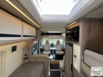 WildAx Solaris Xl 2022