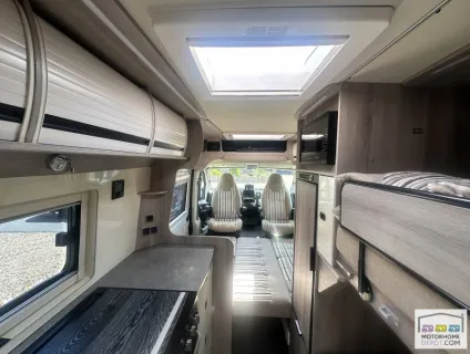 WildAx Solaris Xl 2022