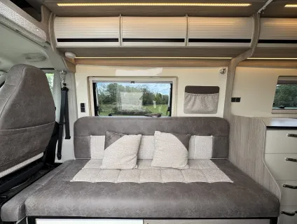 WildAx  Constellation 3 2024