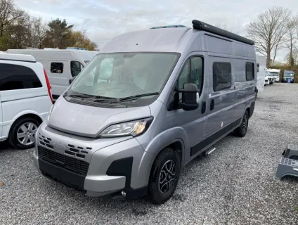 Wildax  Aurora 2025