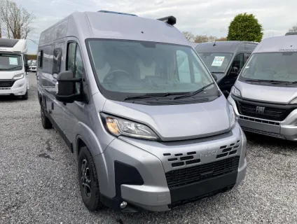 Wildax  Aurora 2025