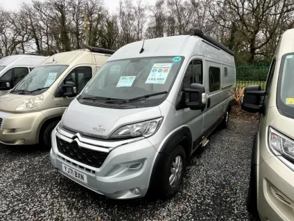 Wildax  Aurora 2021