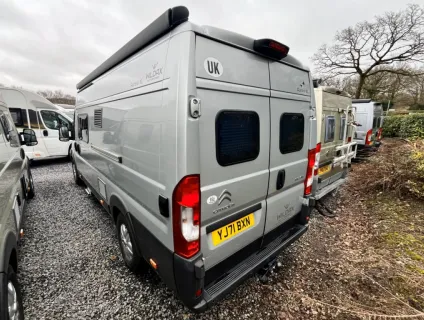 Wildax  Aurora 2021
