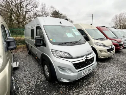 Wildax  Aurora 2021