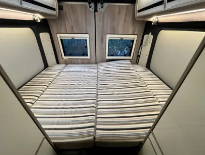 Wildax  Aurora 2021