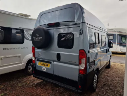 Wildax  Pulsar 2021