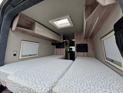 Wildax  Altair 2024