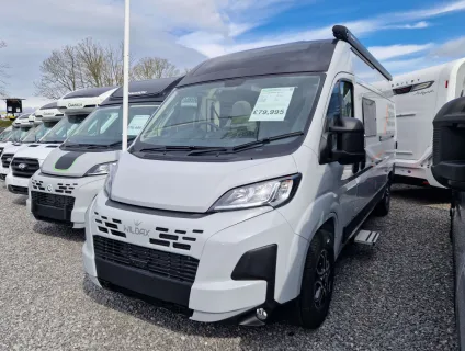 Wildax  Aurora 2026