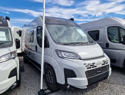 Wildax  Aurora 2026