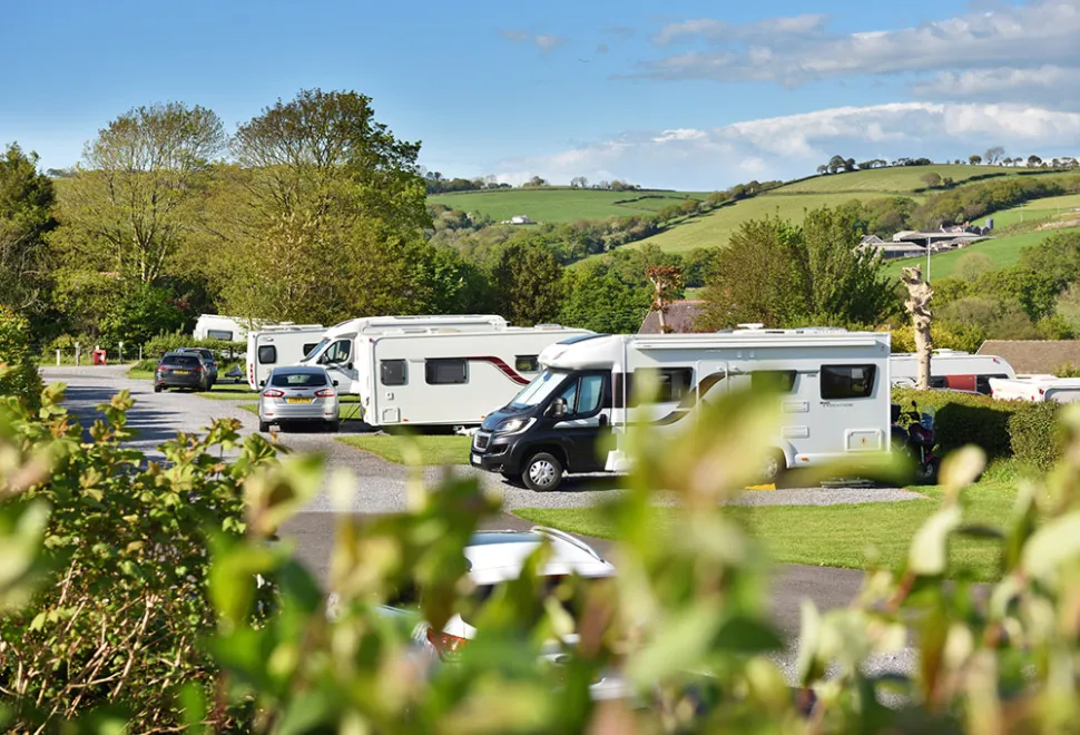 Llwynifan Farm 4