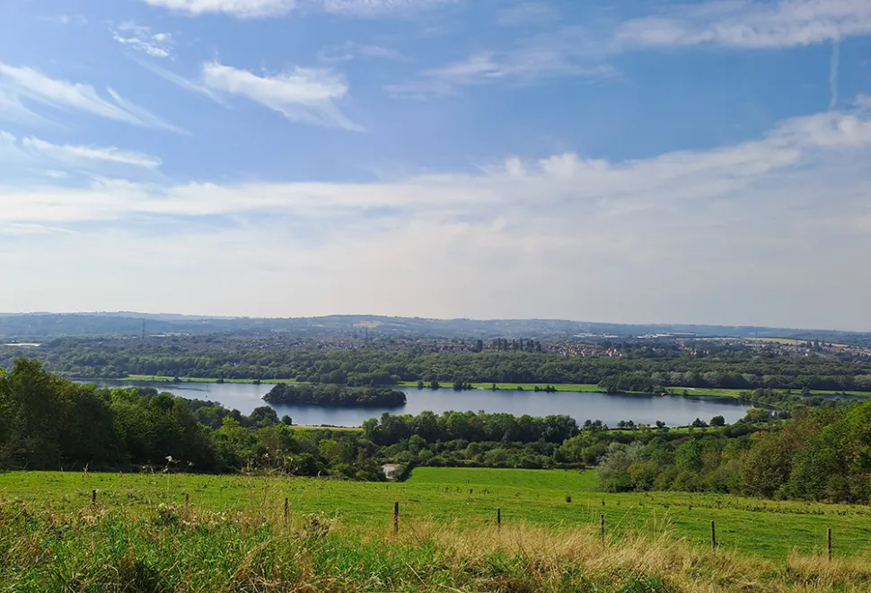 Waleswood 1