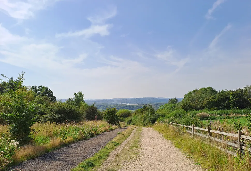 Waleswood 2