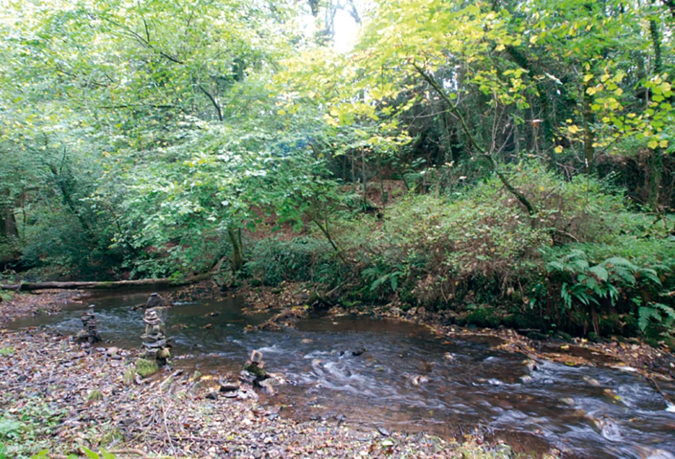 Waterrow 1