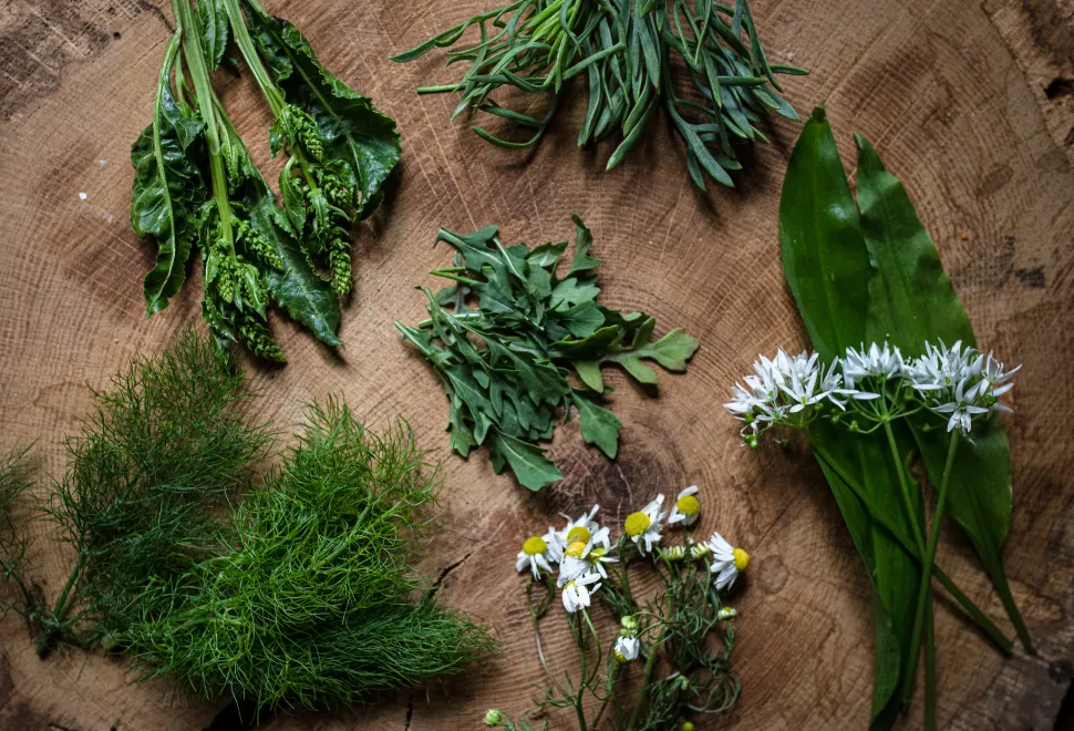 The forage that is on offer when taking the Urban Forage walk