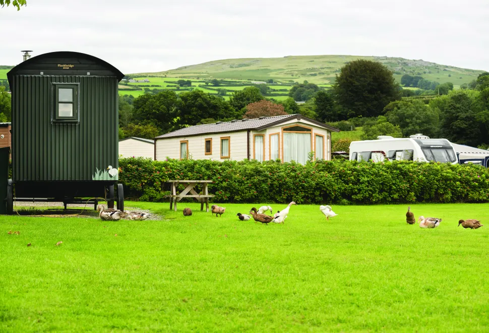 Harfords scenery consists of rolling hills which attracts wildlife to the area