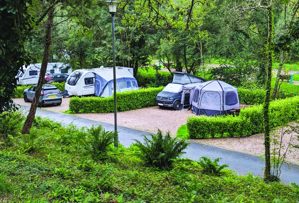Hidden Valley Touring and Campervan Park is submerged within trees and wildlife
