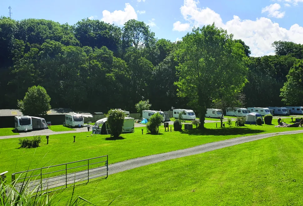 Mill Park campsite is a campsite option surrounded in trees