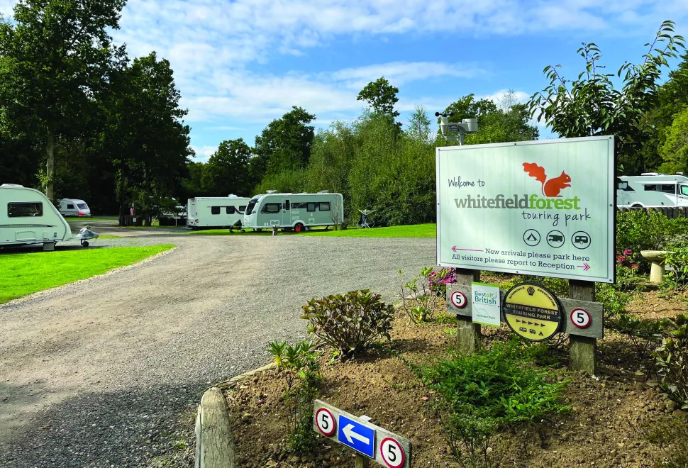 Whitefield Forest Holiday Park