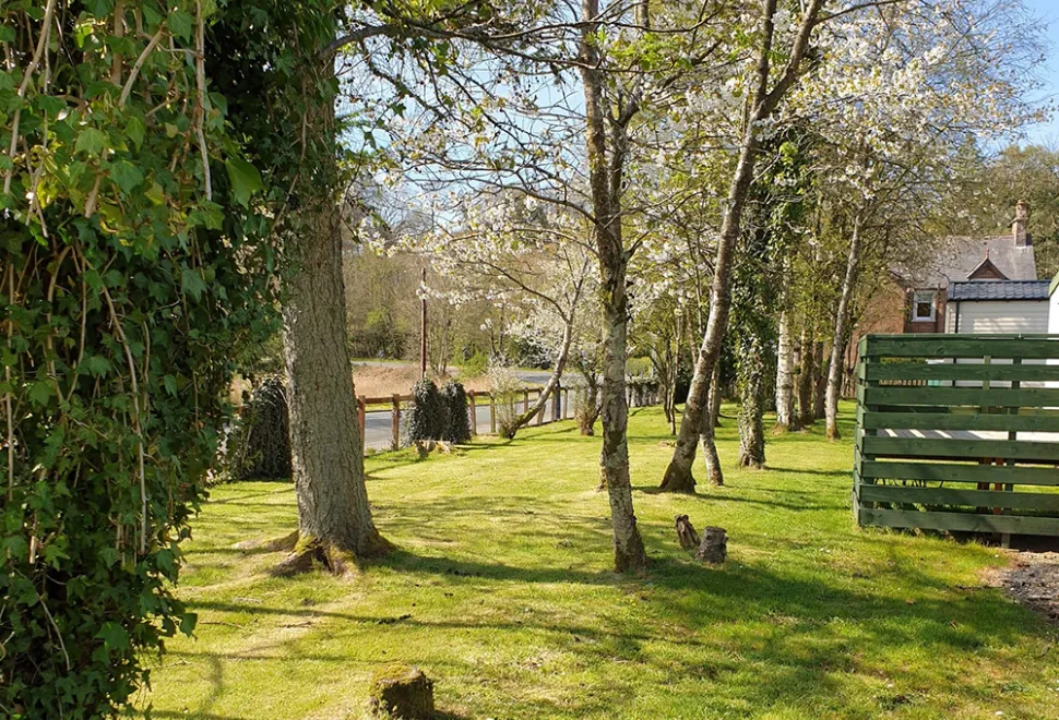 anwoth-holiday-park-campsite-image-3