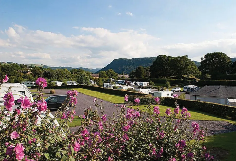 bron-derw-campsite-image-1